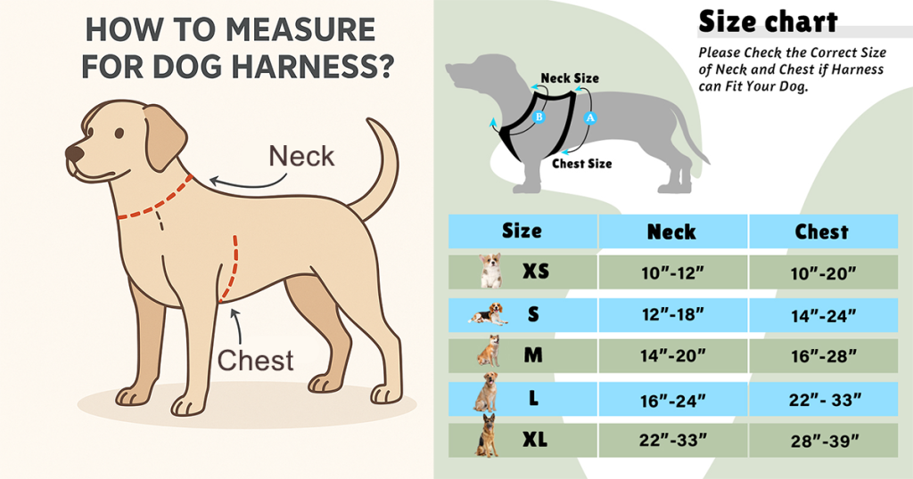 How to Measure a Dog Harness