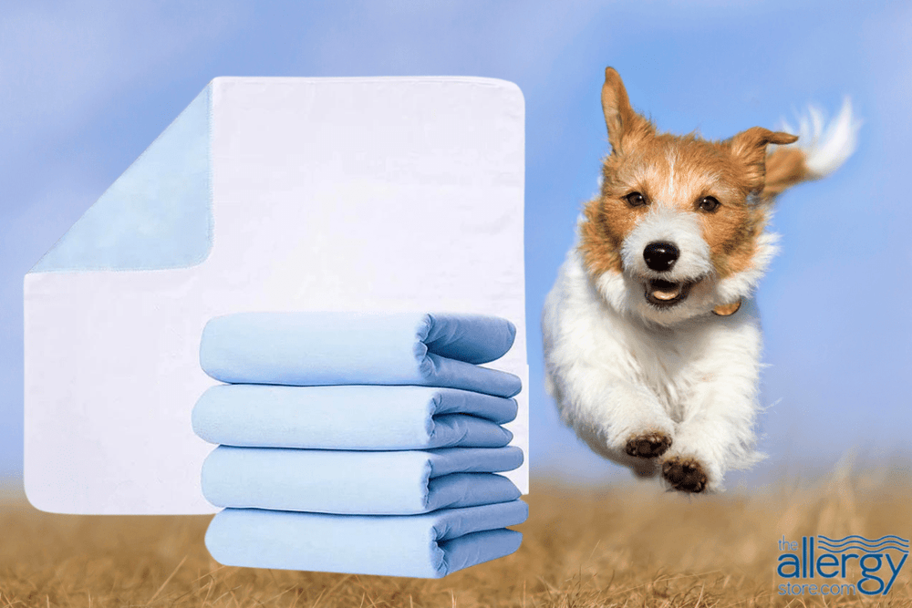How to Potty Train a Dog With Pads
