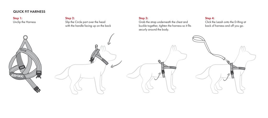 How to Put Harness on Dog