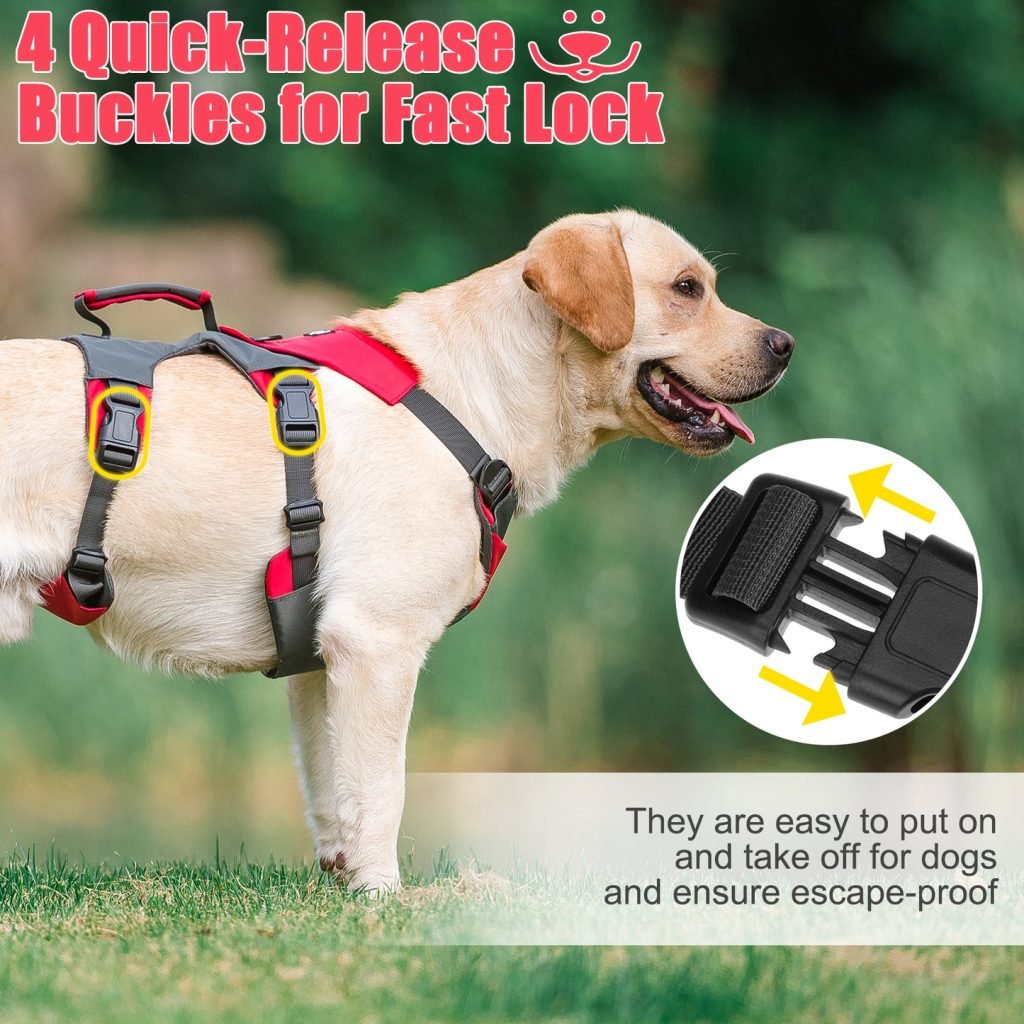 How to Put on a Dog Vest Harness