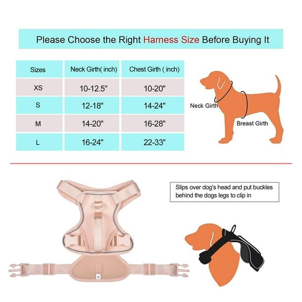 How to Put on Dog Harness Vest
