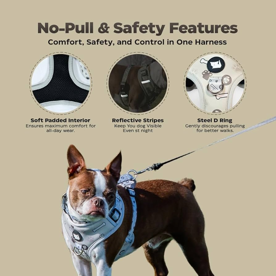How to Put on No Pull Dog Harness