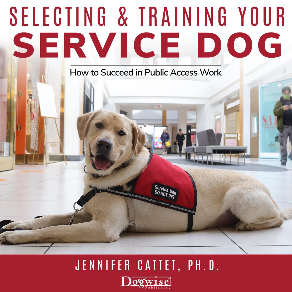 How to Service Dog Training
