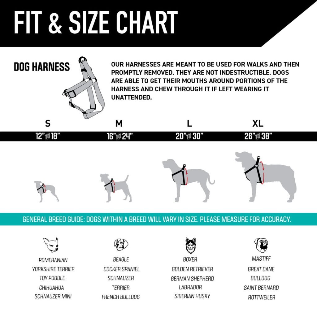 How to Size a Harness for a Dog