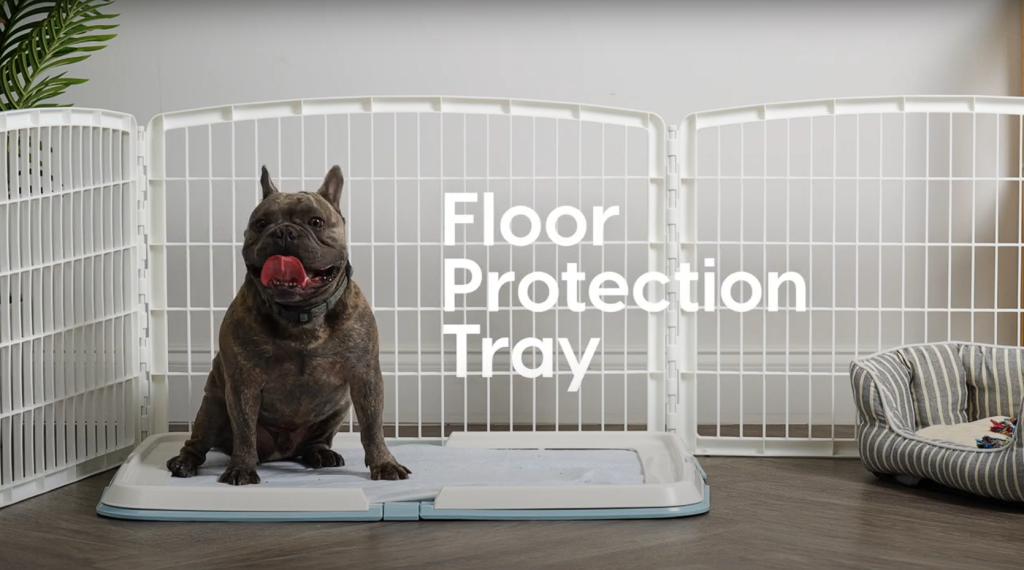 How to Stop Dog from Peeing in Crate