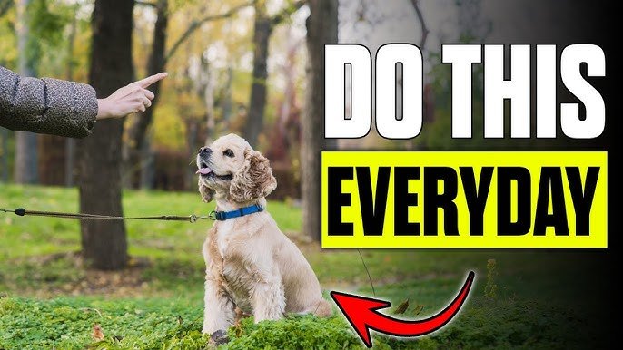 How to Train a Dog to Obey