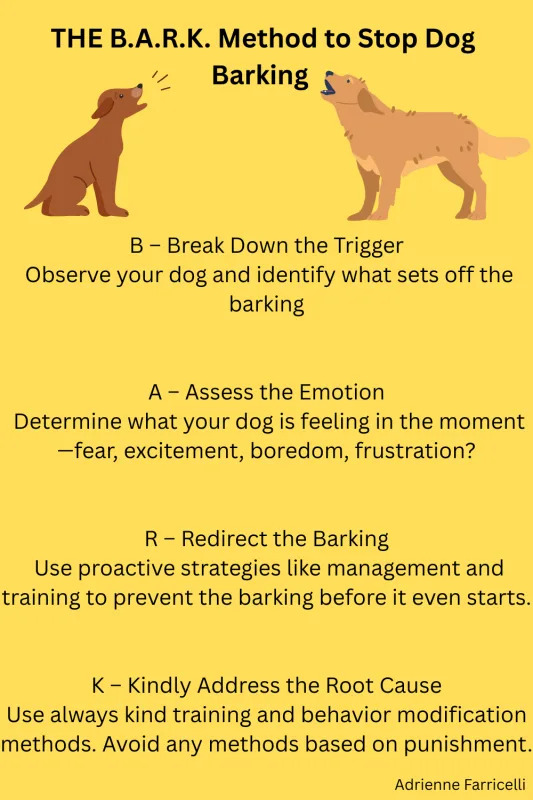 How to Train Dog to Stop Barking