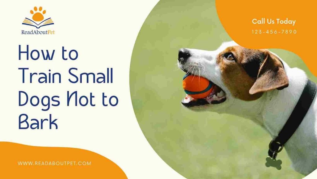 How to Train My Dog Not to Bark
