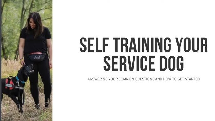 How to Train Service Dog