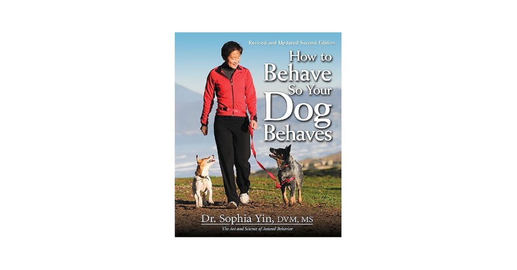 How to Train Your Dog to Behave
