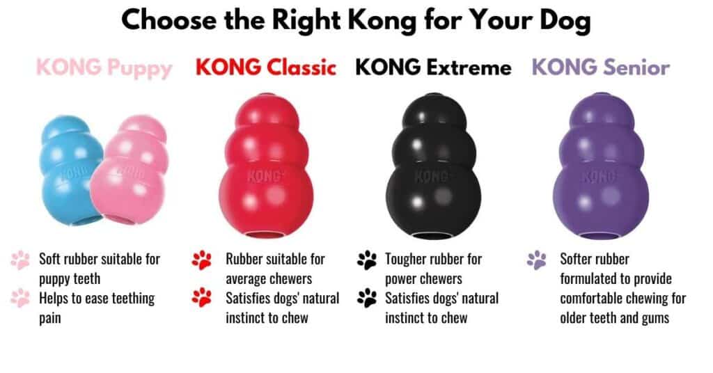 How to Use the Kong Dog Toy