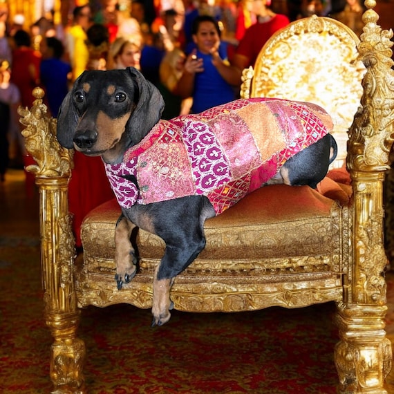 Indian Dog Clothes
