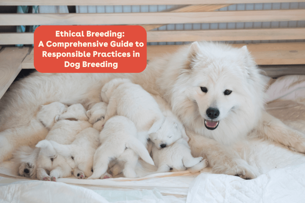 Is Breeding Dogs Bad