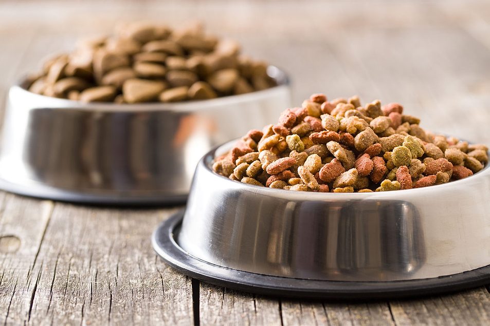 Is Canola Oil in Dog Food Bad