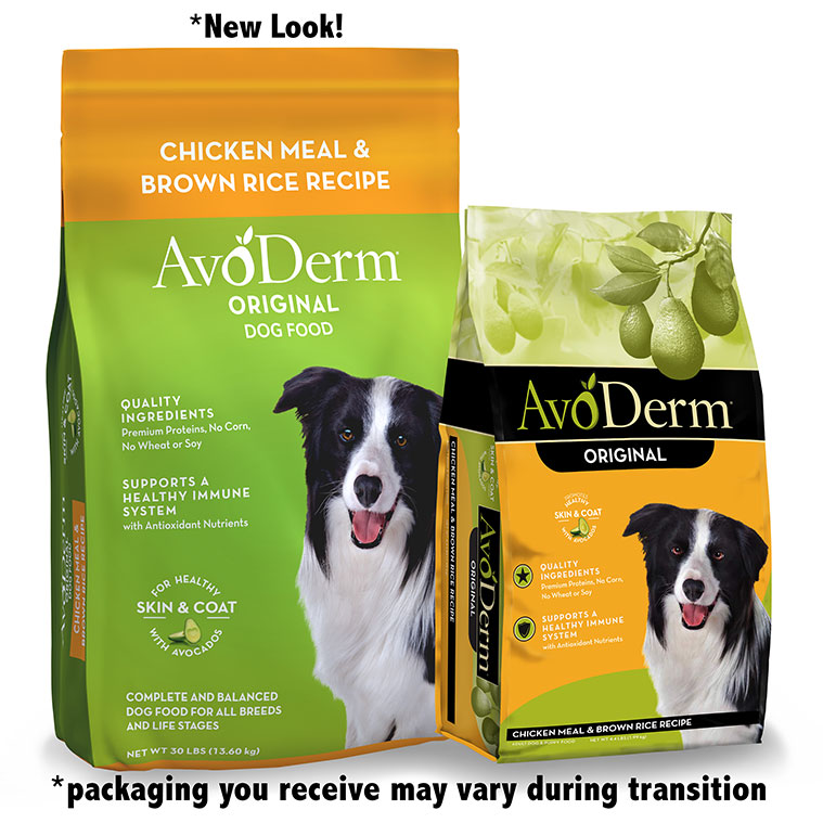 Is Chicken Meal Good in Dog Food