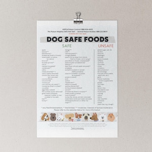 Is Food Coloring Harmful to Dogs