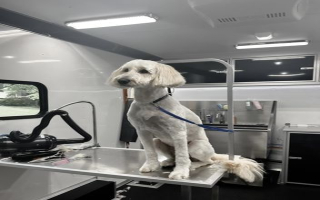 Is Mobile Dog Grooming Business Profitable
