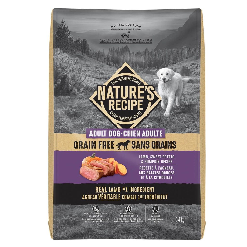 Is Natures Recipe a Good Dog Food
