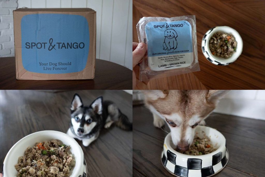 Is Spot And Tango Good Dog Food