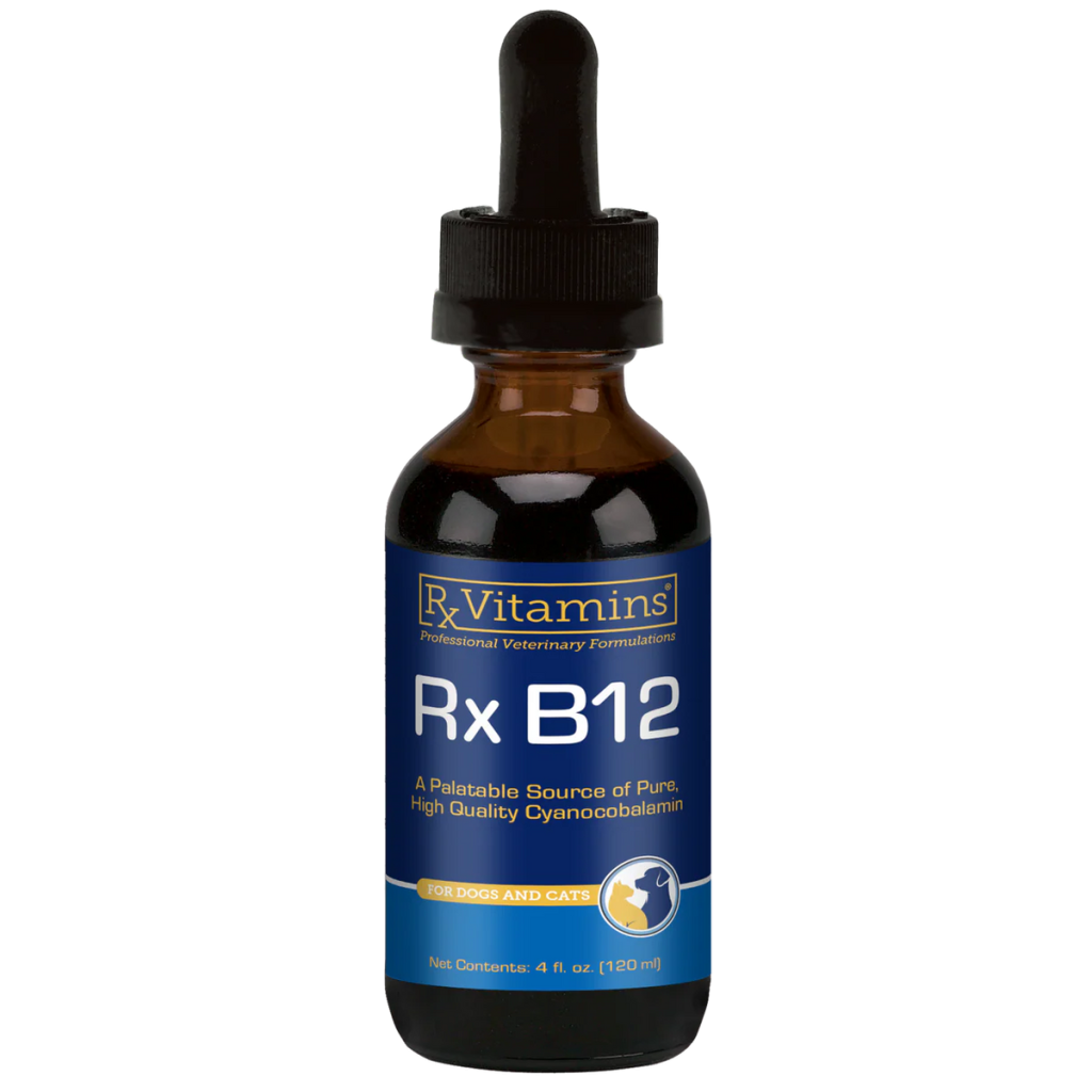 Is Vitamin B12 Good for Dogs