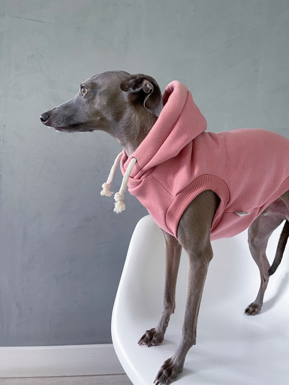 Italian Greyhound Dog Clothes
