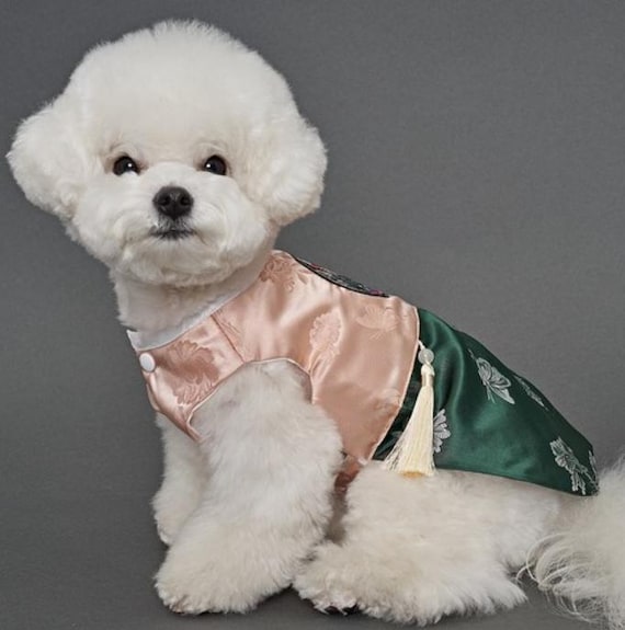 Korean Dog Clothes