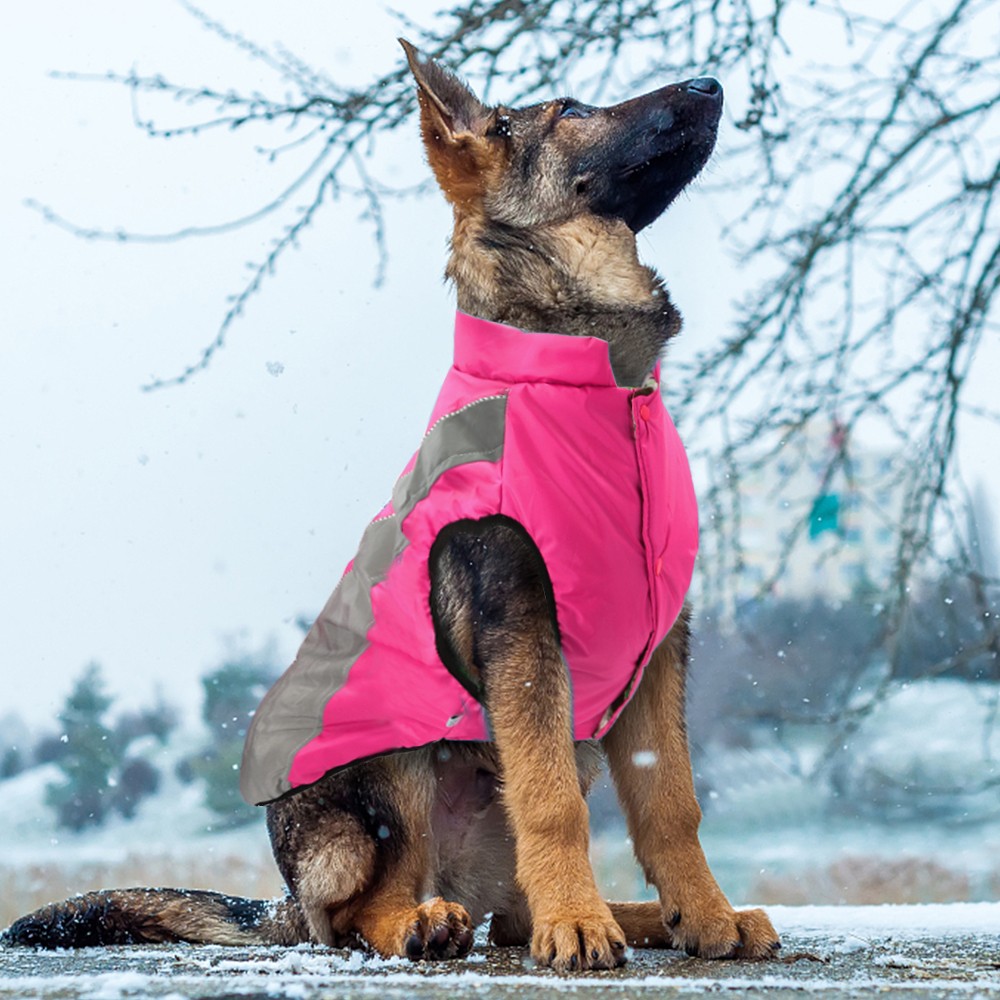 Large Dog Clothes