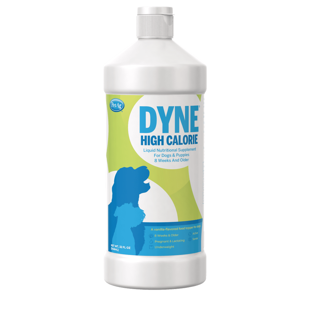 Liquid Nutrition for Dogs