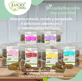 Lucky Dog Nutrition
