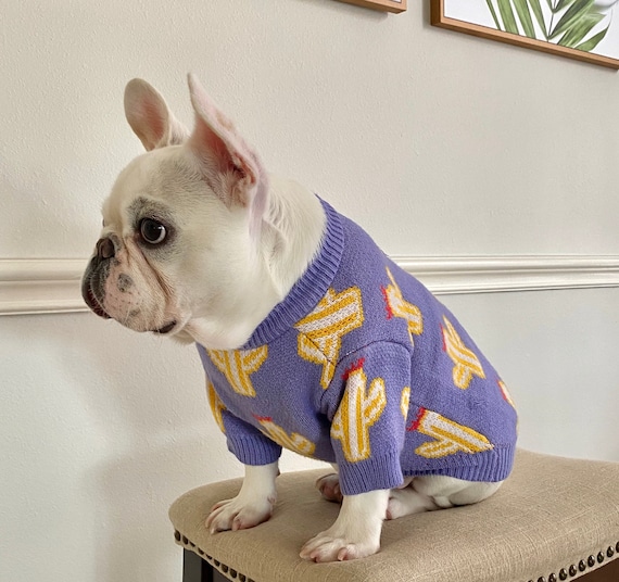 Matching Owner Dog Clothes