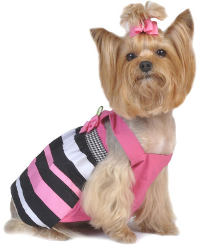 Max'S Closet Dog Clothes