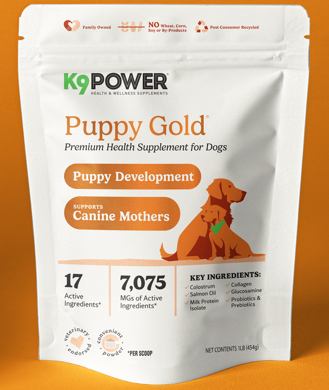 Nutrition Supplements for Dogs