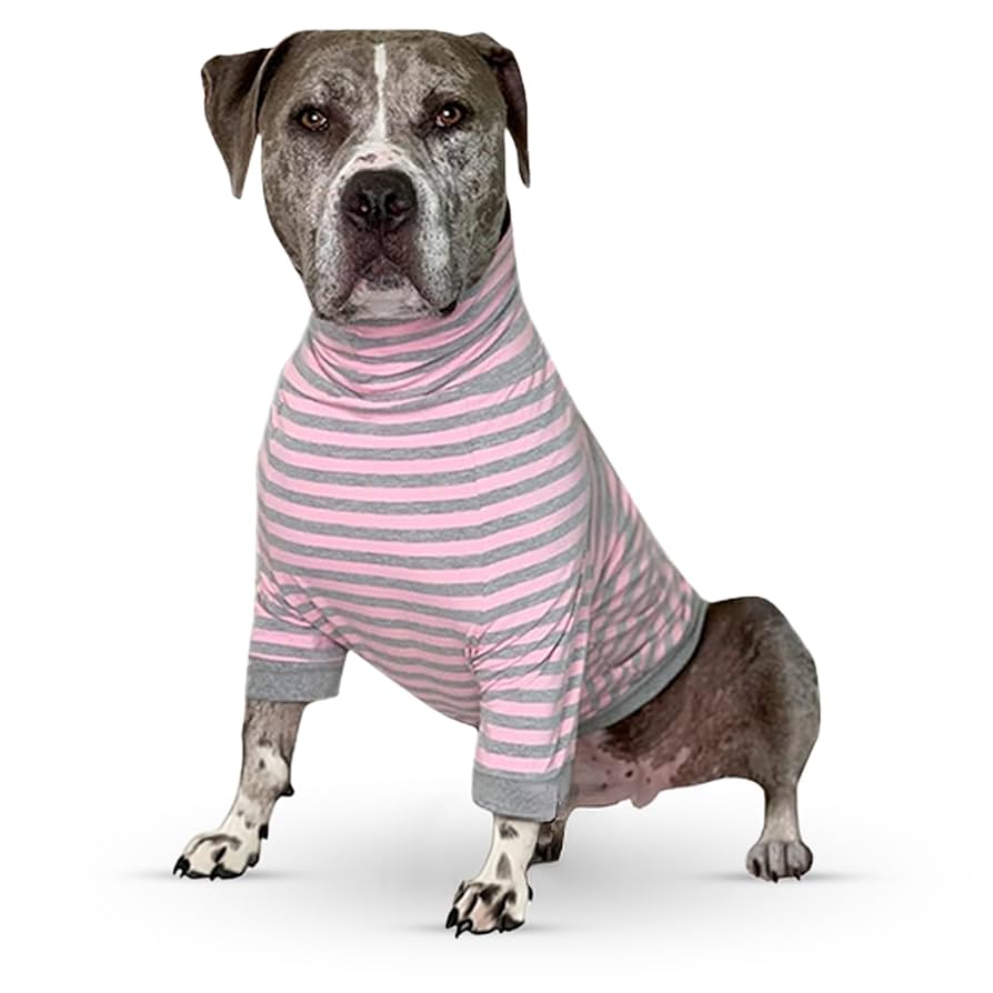 Pitbull Dog Clothes