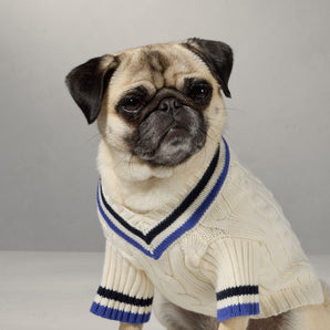 Polo Ralph Lauren Dog Clothes