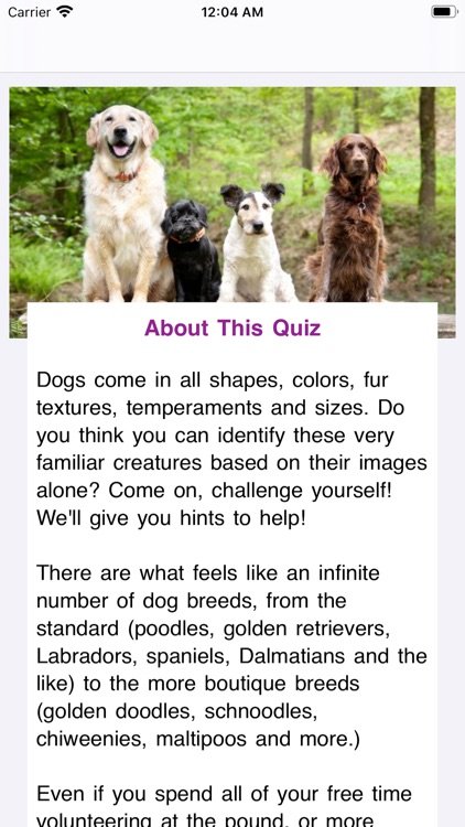 Quiz About Dog Breeds