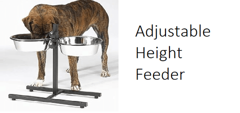 Should Dogs Eat from a Raised Bowl