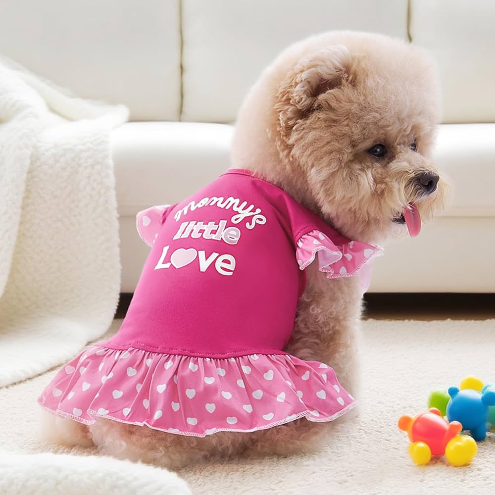 Small Dog Clothes