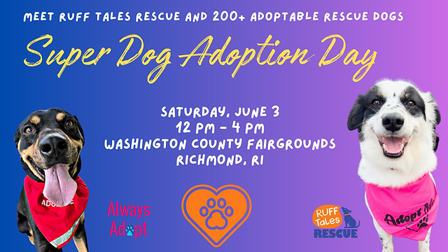 Super Dog Adoption Day Ri