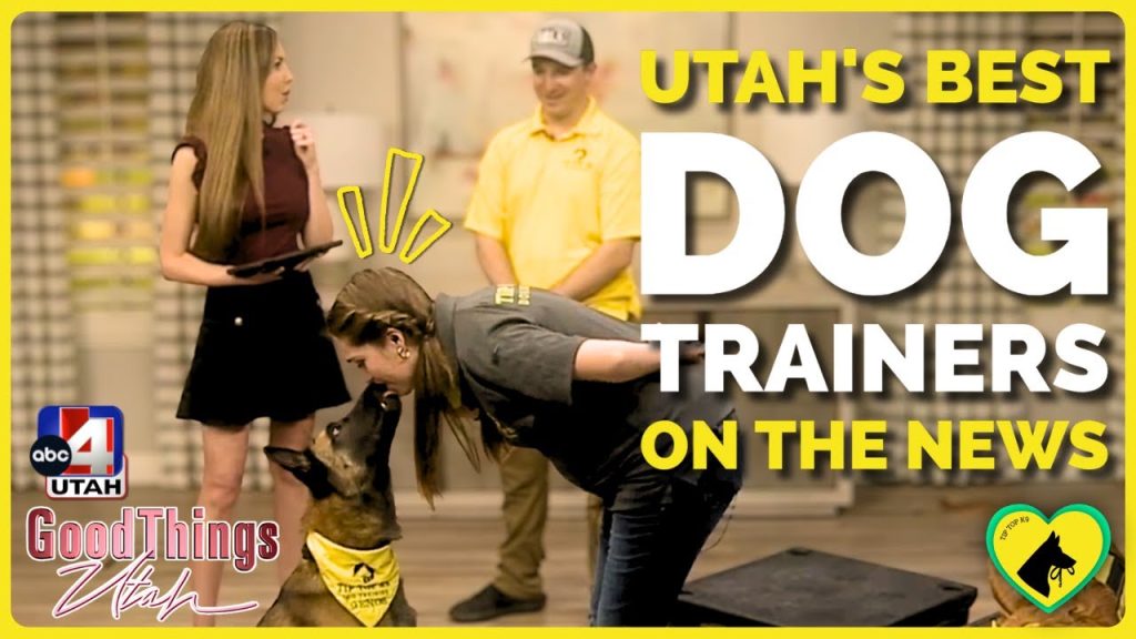 Tip Top Dog Training