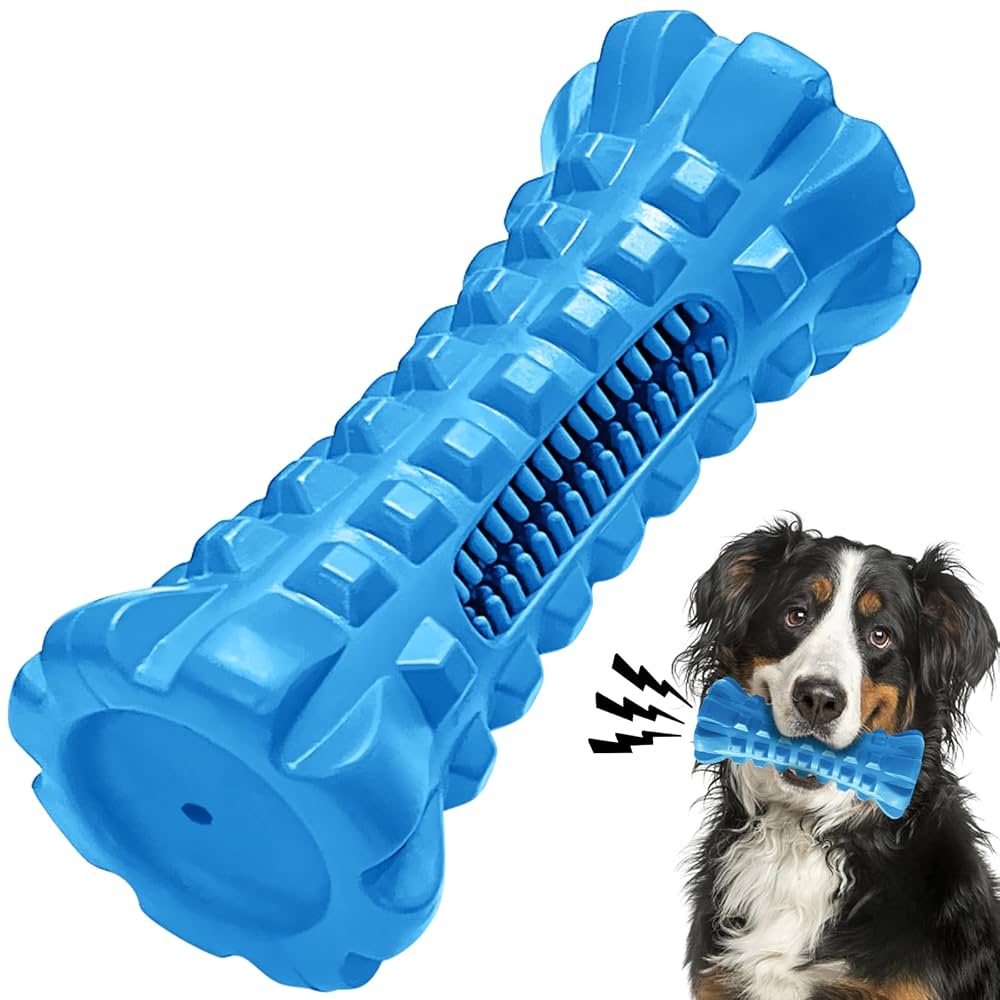 Toys for Dogs Who Like to Chew Plastic