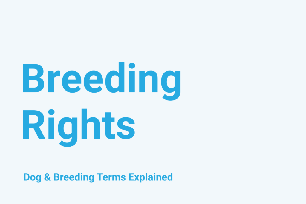 What are Dog Breeding Rights