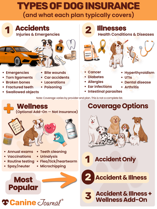 What Does Dog Insurance Cover