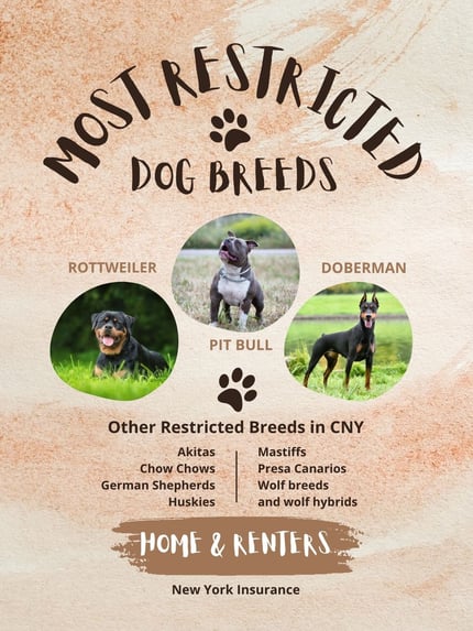 What Dog Breeds Affect Homeowners Insurance