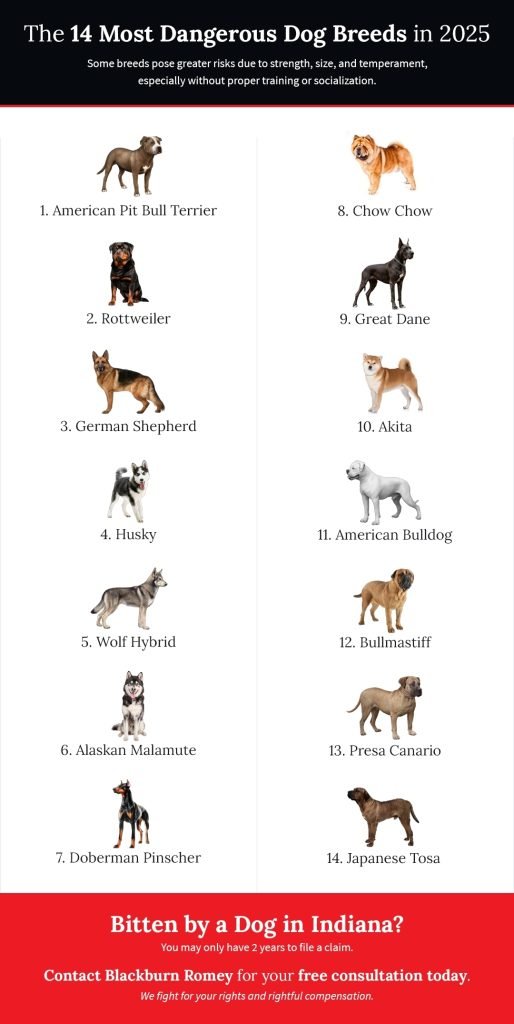 What Dog Breeds Bite the Most