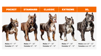What Dog Breeds Make Up a Pitbull