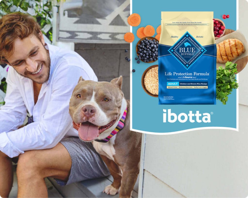 What Dog Food is Comparable to Blue Buffalo