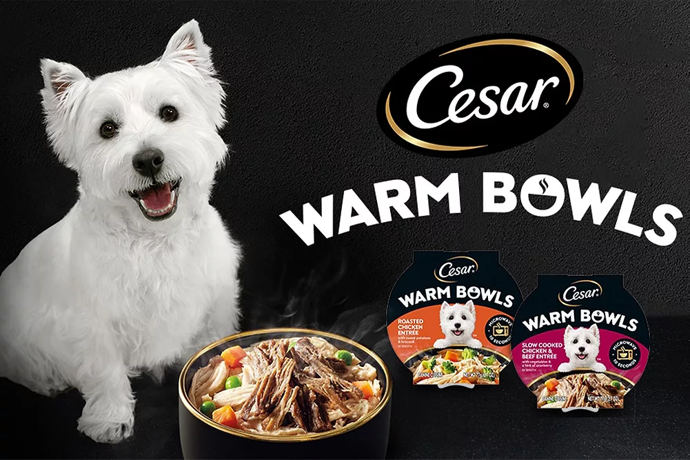 What Dog is on Cesar Dog Food