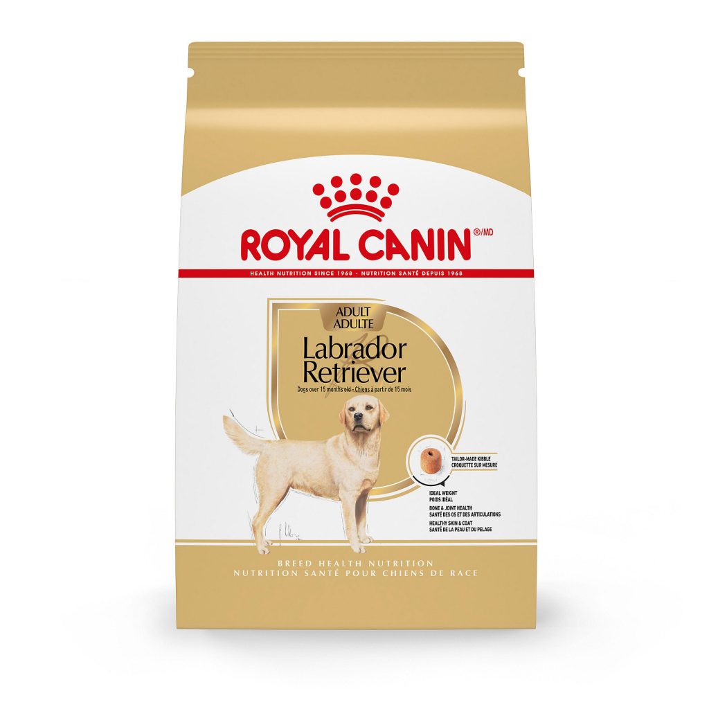 What is a Good Dog Food for Labradors