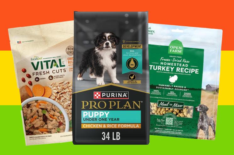 What is a Good Dog Food for Labs
