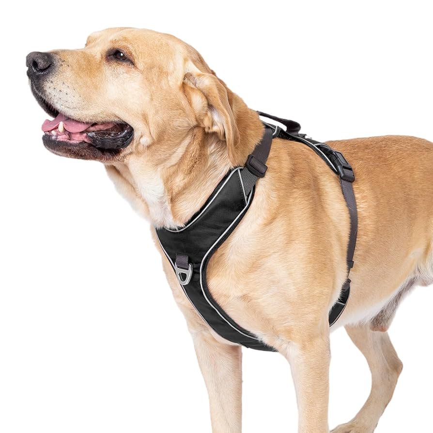 What is a No Pull Dog Harness